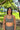 SculptFlex Seamless Bra Gray
